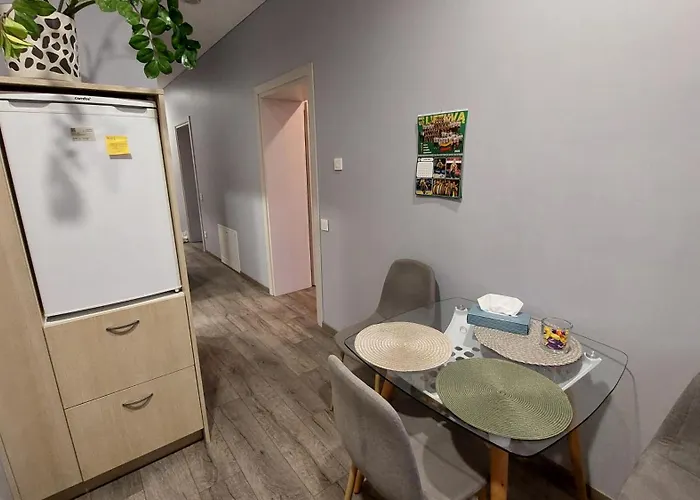 Cepinskio Appartement Kaunas